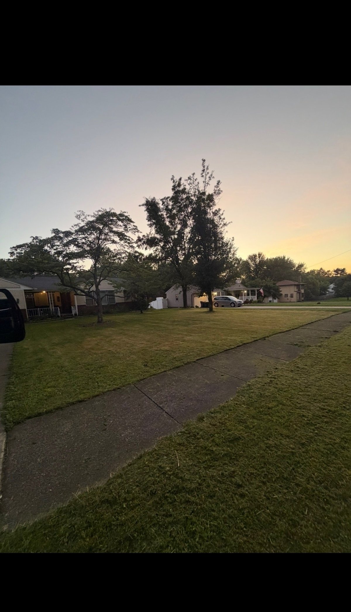 Residential neighborhood at dusk with houses, trees, and green lawn at golden hour